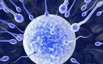 2026年想去扬中市做试管婴儿需要准备哪些事？详细收费明细一览