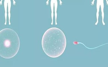 哈尔滨做三代试管有条件吗？哈尔滨2026年最新条件条件公布